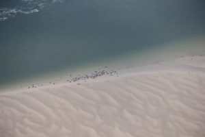 Berck_2018_3