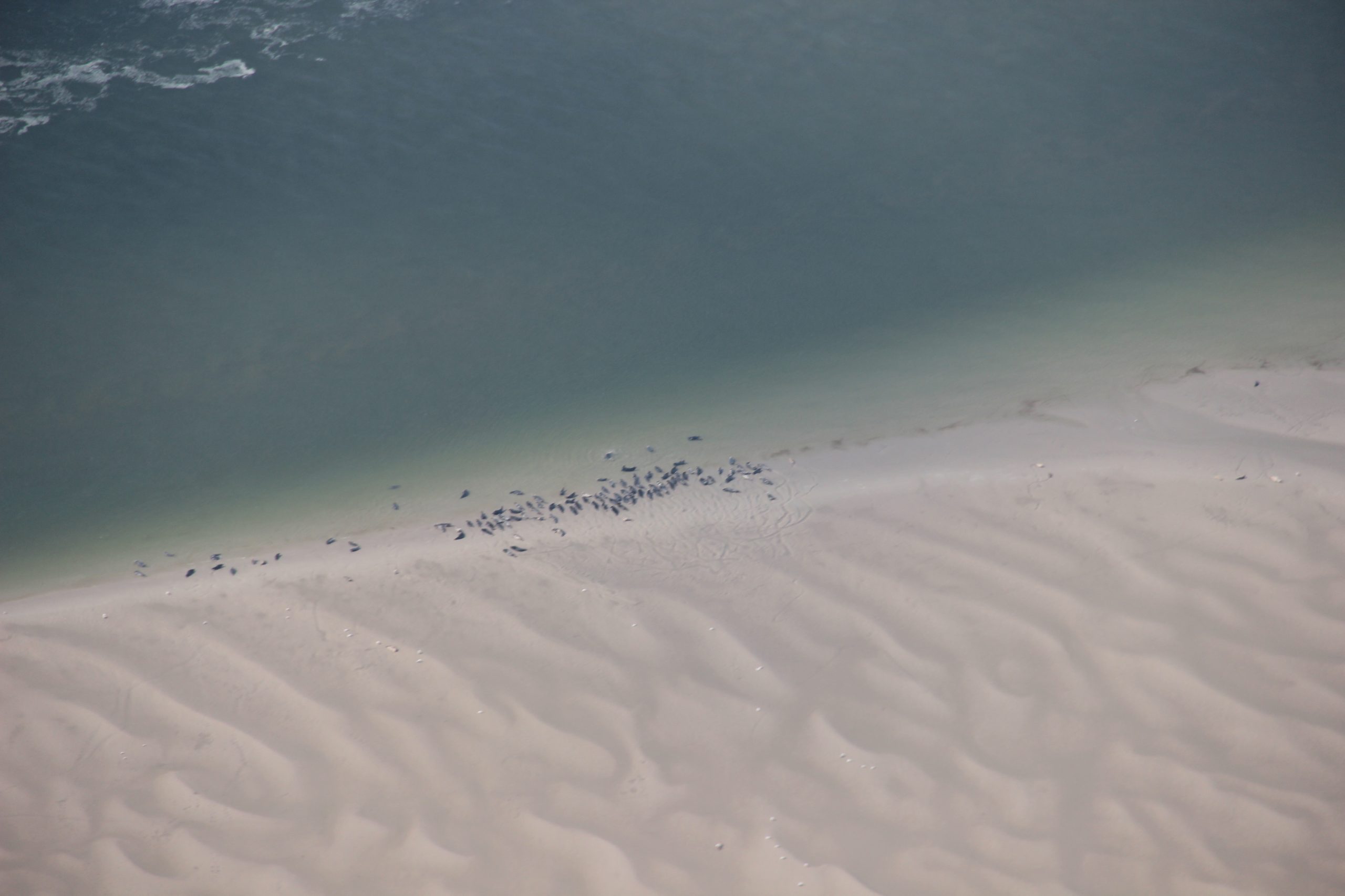Berck_2018_3