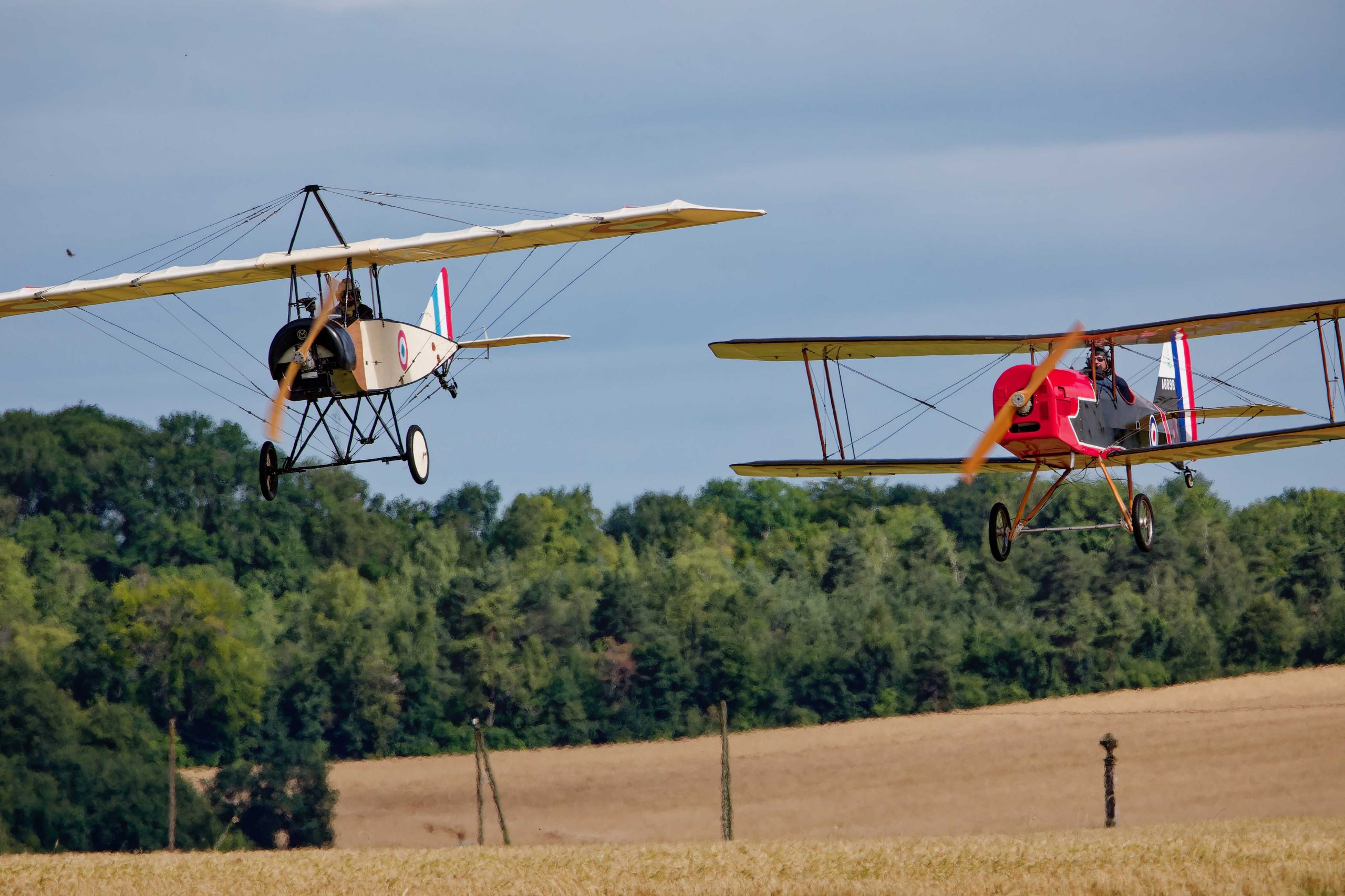 ALE_0257_Ale