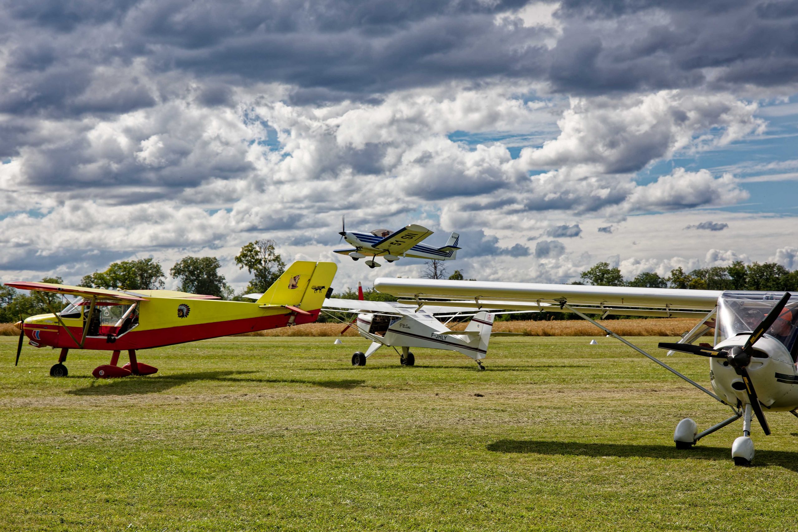 ALE_1580_Ale